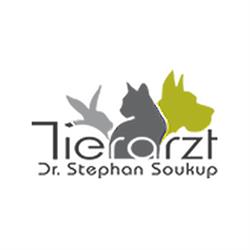 Dipl-TA Dr. Stephan Soukup