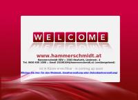 Andreas Hammerschmidt