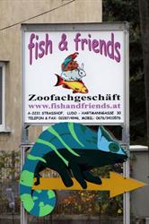 fish & friends Wagner Monika