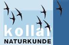 Dr. Hans Peter Kollar