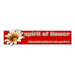 Spirit of Flower Blumenfachgeschäft Gerda Tögel