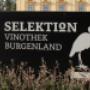 Logo vor Selektion