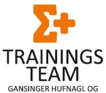 Trainingsteam Gansinger Hufnagl OG