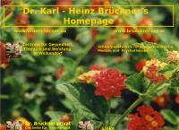 Brückner Karl-Heinz, Dr.med.