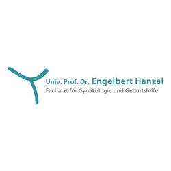 ao. Univ. Prof. Dr. Engelbert Hanzal