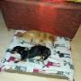 Emi und Tim