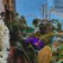 FLOWERS & MORE - Meisterflorist Michael Oberhofer | Blumen & Dekoration