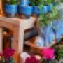 FLOWERS & MORE - Meisterflorist Michael Oberhofer | Blumen & Dekoration