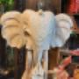 FLOWERS & MORE - Meisterflorist Michael Oberhofer | Blumen & Dekoration