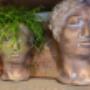 FLOWERS & MORE - Meisterflorist Michael Oberhofer | Blumen & Dekoration