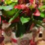 FLOWERS & MORE - Meisterflorist Michael Oberhofer | Blumen & Dekoration