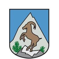 Gemeinde Mittelberg Immobilienverwaltungsgesellschaft mbH und Co. Keg.