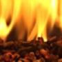 Reinhard Gumpold - Feuer