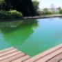 Teich.