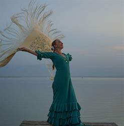 Academia Flamenca