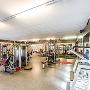 Sense of Body Fitness Schmee Angela