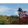 Heinzi's Heinzelmännchen in 3071 Böheimkirchen - Gartenbeleuchtung Heinzi's Heinzelmännchen in 3071 Böheimkirchen - Gartenbeleuchtung