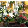 Blumen Heimo u Stefanie Beinhardt 3032 Eichgraben Blumen Heimo u Stefanie Beinhardt 3032 Eichgraben