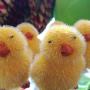 # 14