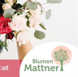 Blumen Mattner OG