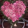 Blumen Masutti Krieglach Blumen Masutti Krieglach