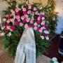 Blumen Masutti Krieglach Blumen Masutti Krieglach