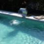 Bolter Schwimmbadbau & Erdbau