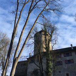 Schloss Matzen Betriebs-GmbH
