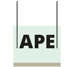 APE Reinigung GmbH & Co KG