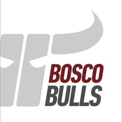 Kapfenberg Bulls