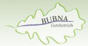 Bubna-Litic Michael Ing