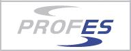 PROFES - Professional Energy Services GmbH