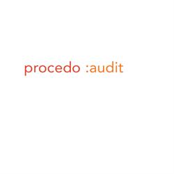 procedo-audit wirtschaftsprüfung gmbh