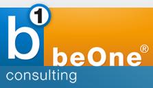 b1 Consulting GmbH