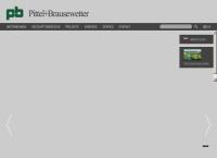 Pittel & Brausewetter Gesellschaft M.b.h.