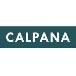 CALPANA business consulting GmbH
