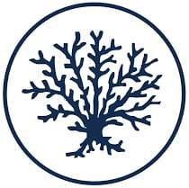 reefness GmbH