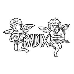 RADIX Skateshop Kirchmayr & Pfleger OG