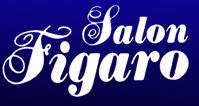 Salon Figaro Klaus Salvenmoser KG