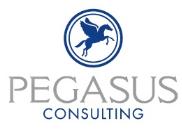 PEGASUS Consulting e.U.