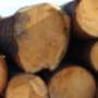 FERSTL Holz GmbH - Säge und Hobelwerk