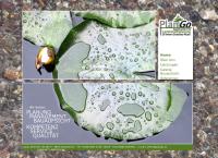 Website von Dipl.-Ing. Irene Gotschy-Russ - Plango