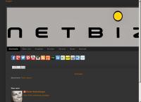 Mag. Dieter Ratzesberger - Netbiz - Pharma Consulting