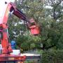 Gartenservice Regenfelder Dietrich