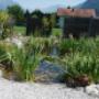 Projekt Garten Danek GmbH