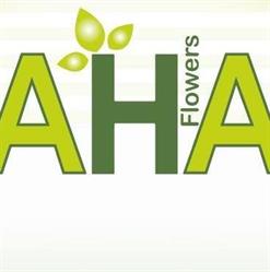 A.H.A. Flowers Thurner, Schwarzott u. Hartberger OG