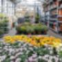 OBI Gartencenter Fohnsdorf OBI Gartencenter Fohnsdorf