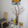 Massagefachinstitut Sigrid Haun