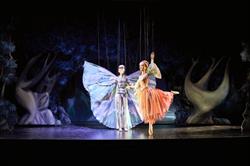 Marionettentheater Schloß Schönbrunn - Hofratstrakt