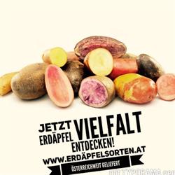 Kartoffelhof Schramm Christof Regionalproduct EPU